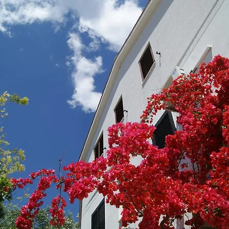 Zavala 553f Apartmán