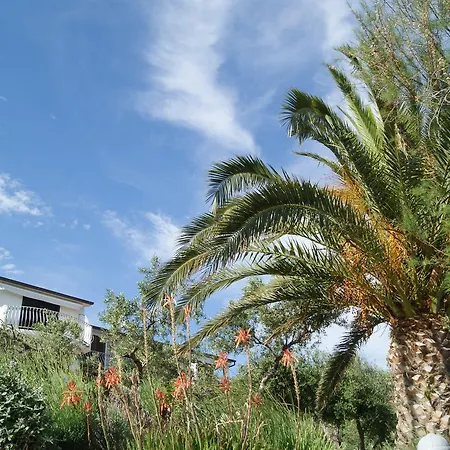 Zavala 553f Jelsa (Hvar)